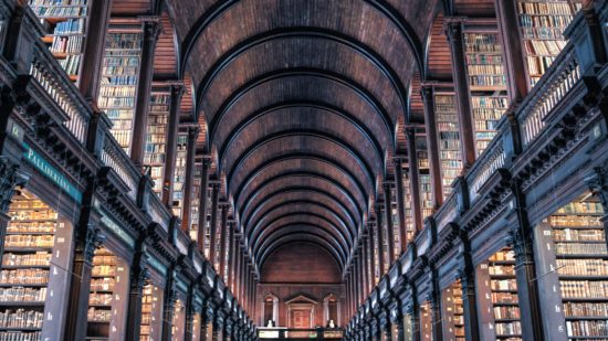 books-shelves-architecture-wood-442420 (1)