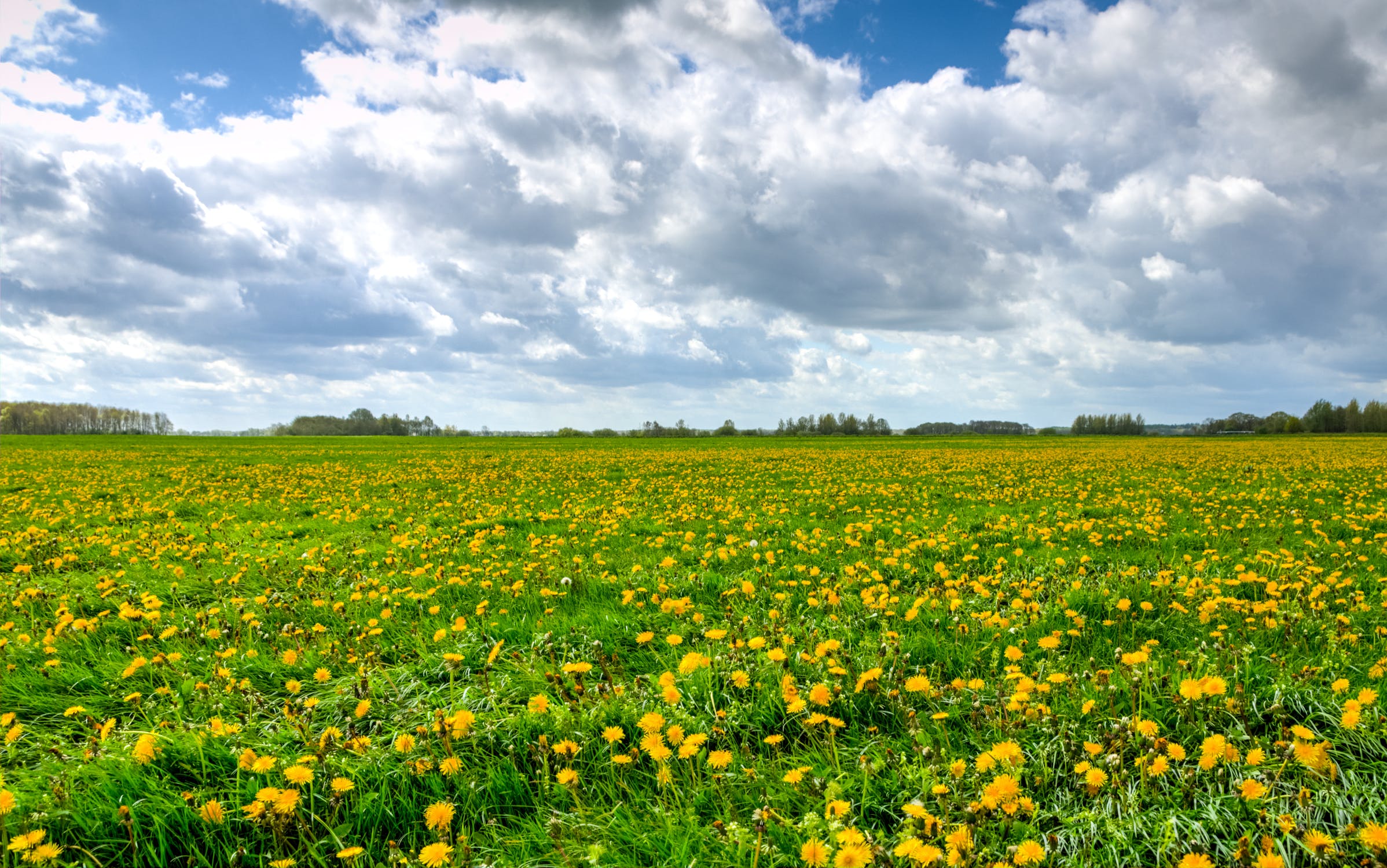 summer-sun-blooming-season-375152