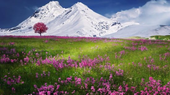 amazing-beautiful-beauty-blue