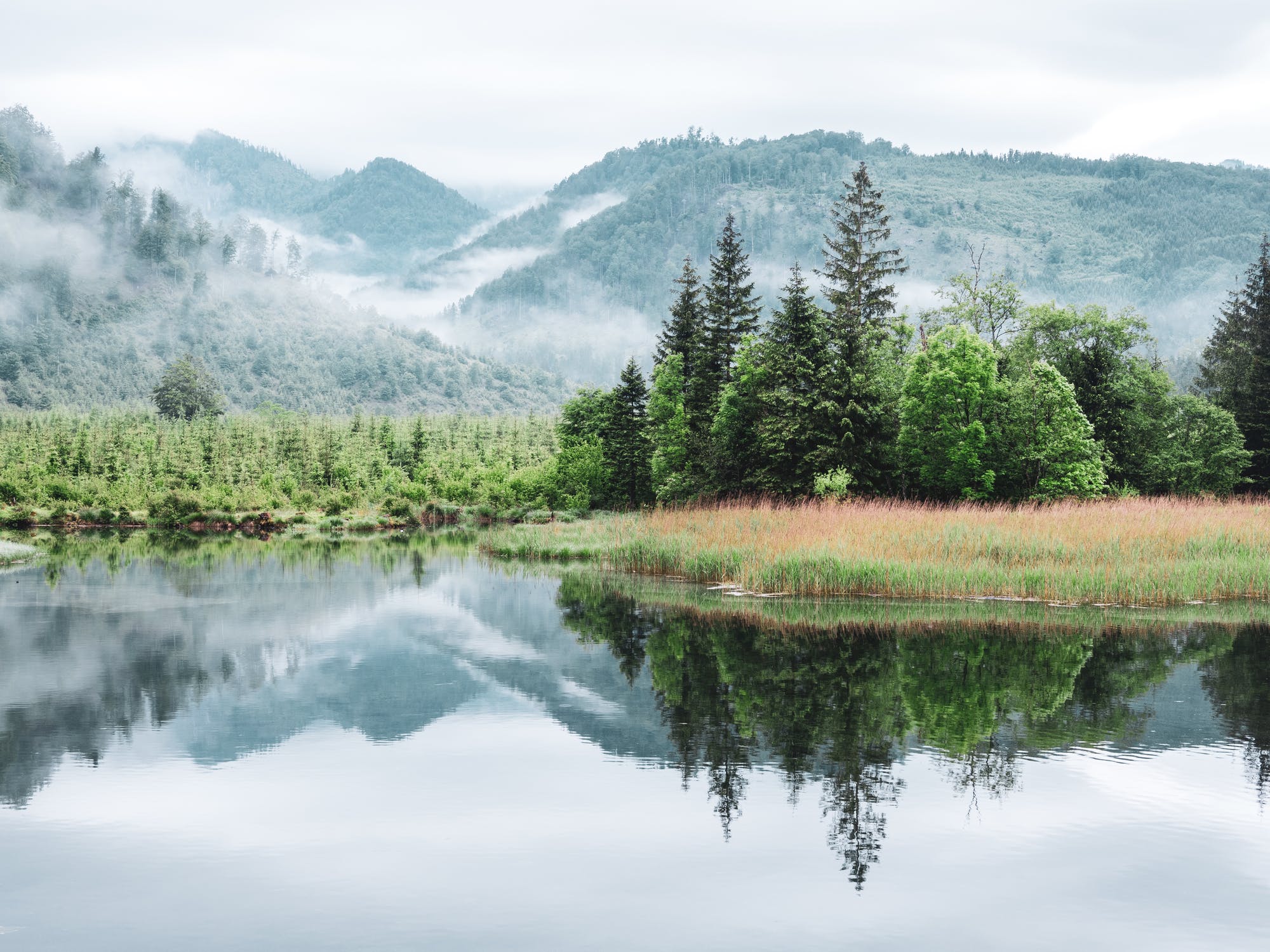 pexels-photo-5044497