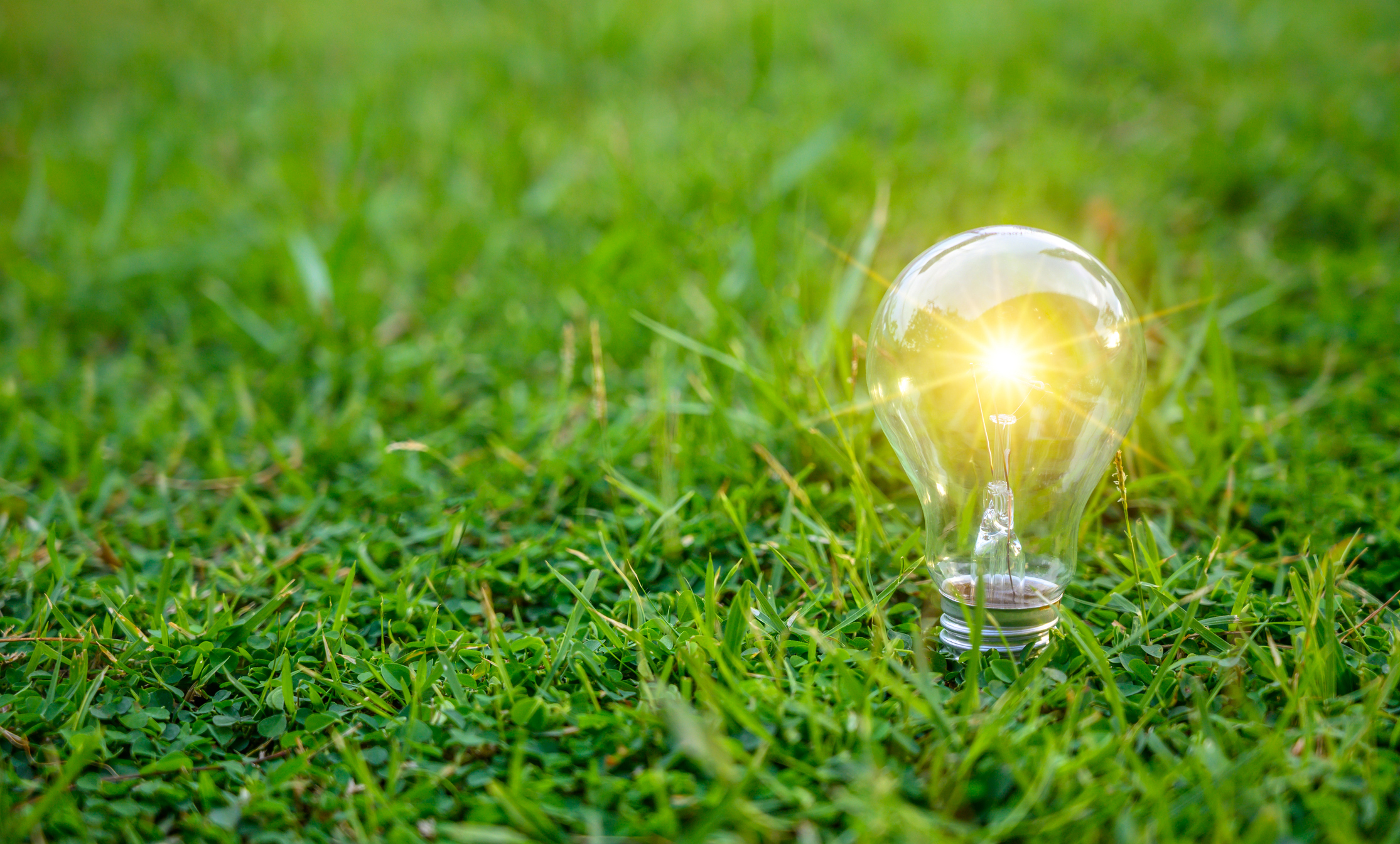 Light bulbs shining on the green grass, renewable energy and nature conservation concepts