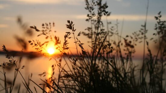 river sunrise