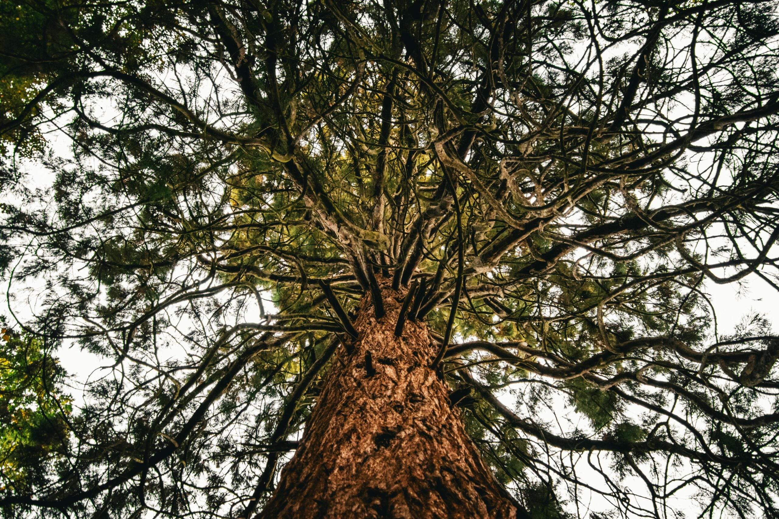 pexels-zhro-164968584-14435287