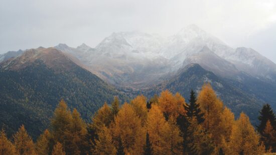 pexels-eberhardgross-640809