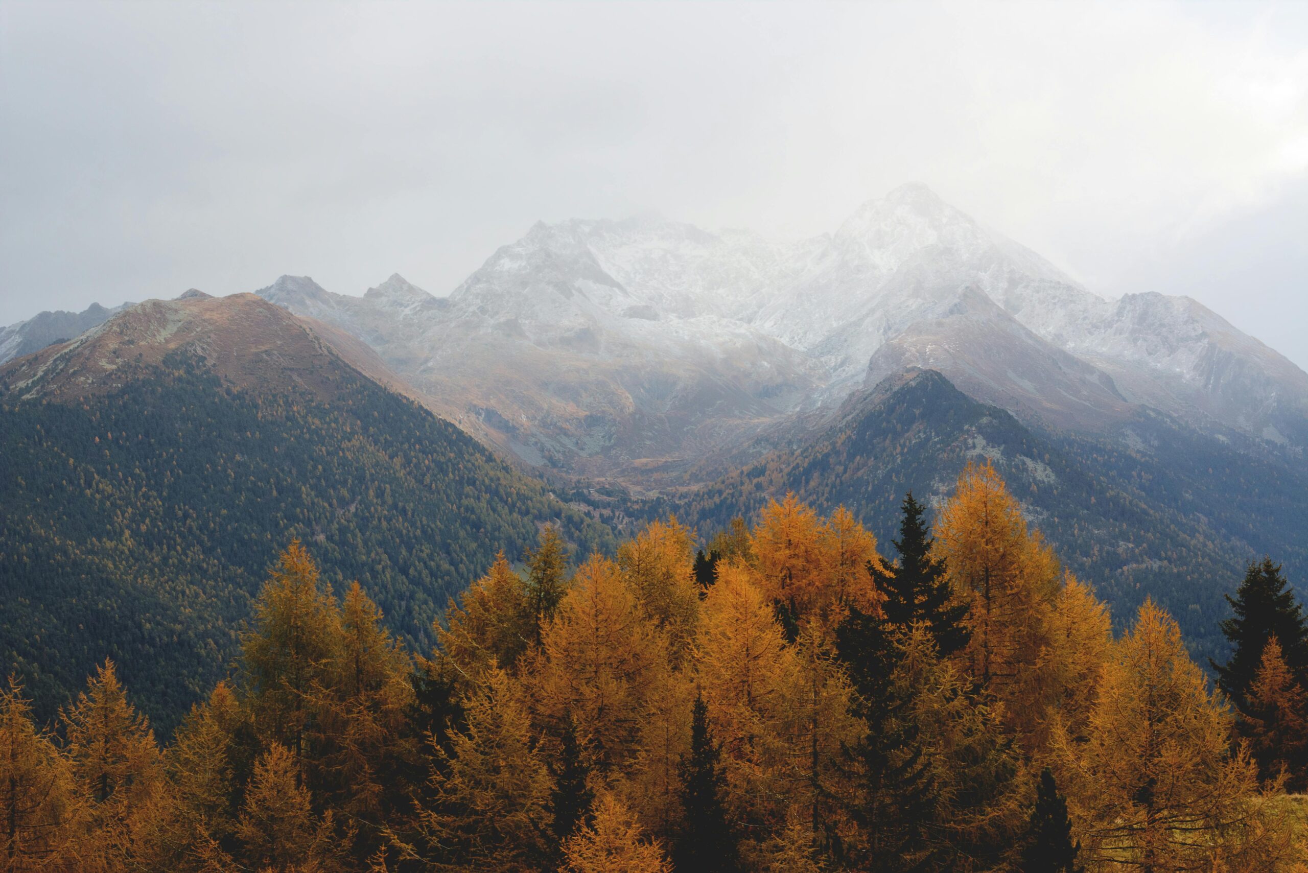 pexels-eberhardgross-640809