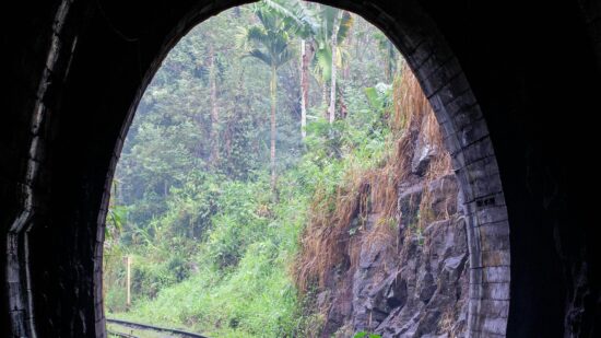 pexels-ruwantha-wijesundara-960907-4070808